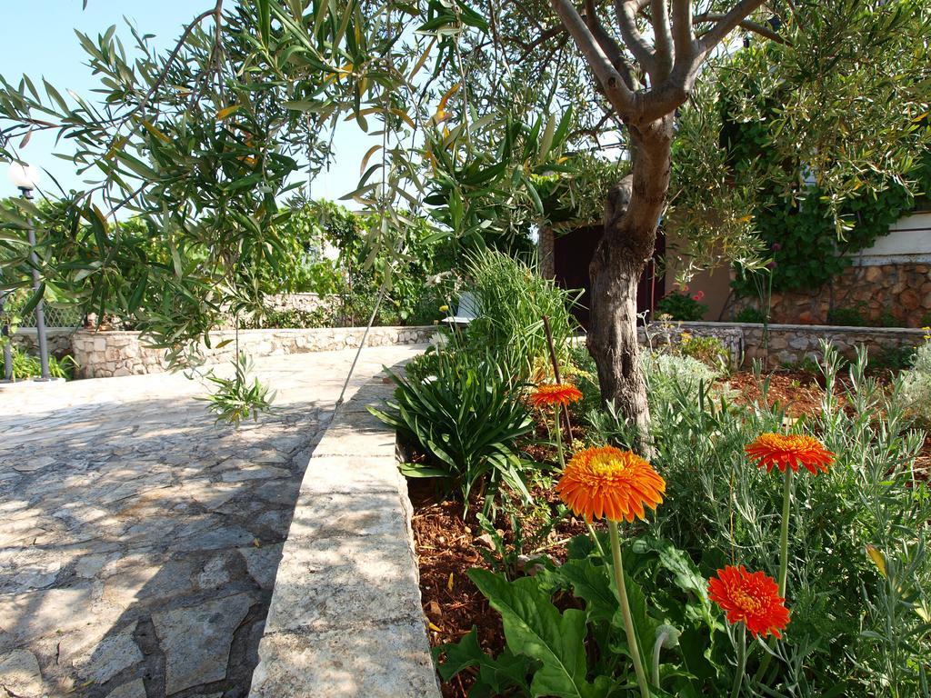 Villa Perla ロゴズニッツァ エクステリア 写真